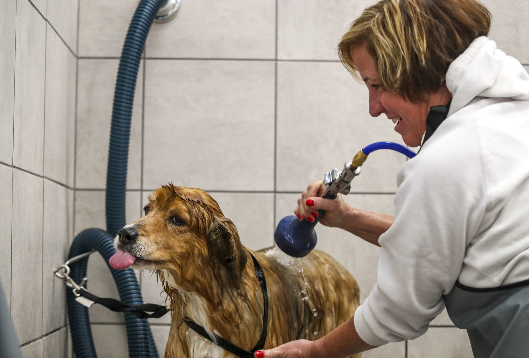 030718-PET-SUPPLIES-PLUS-011